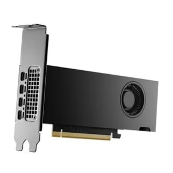 Dell NVIDIA RTX 2000 Ada Generation, 16 GB GDDR6, full height, PCIe mDP Graphics Card ürün görseli 1