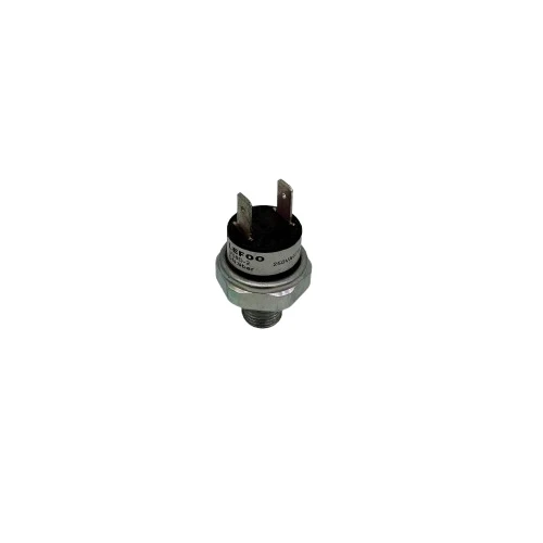 Basınç Şalteri Mini 9 Bar - 12/24/220V - 1/4 ürün görseli 1