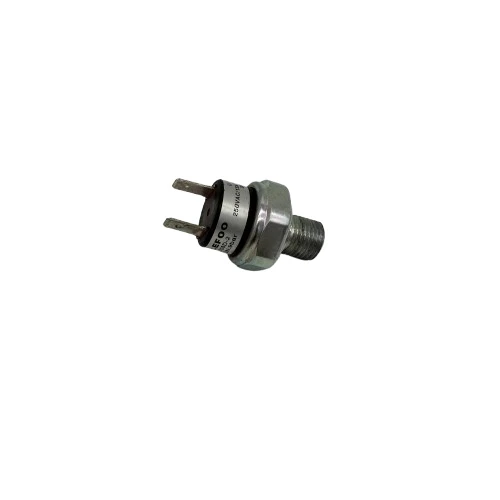 Basınç Şalteri Mini 12Bar - 12/24/220V - 1/4 - Resim 3