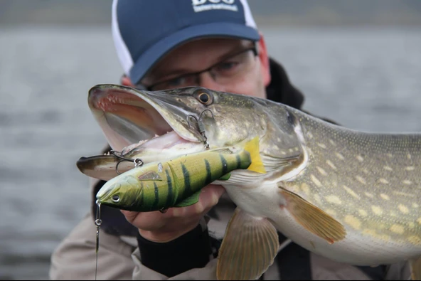 Duo Realis Onimasu CCC3836 Rainbow Trout ND - Resim 4