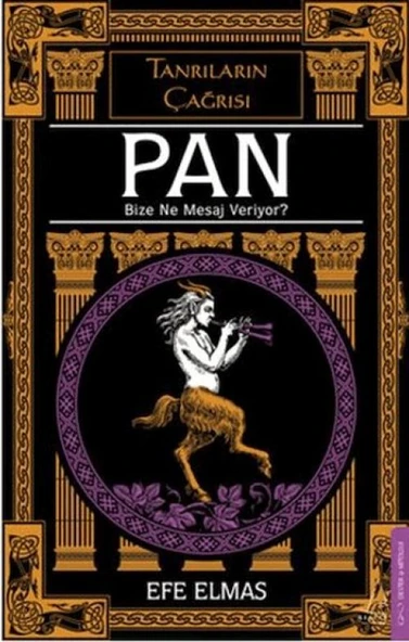 Pan Bize Ne Mesaj Veriyor? ürün görseli 1