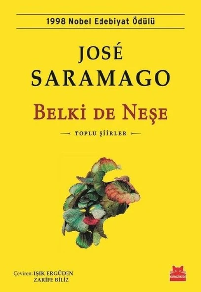 Belki de Neşe ürün görseli 1