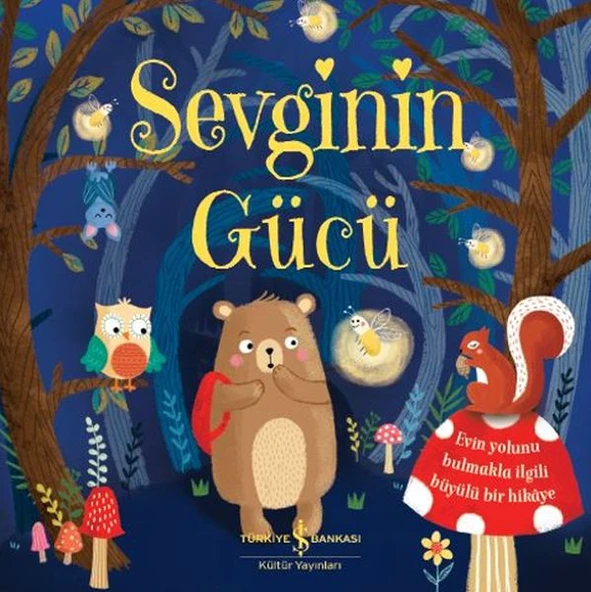Sevginin Gücü ürün görseli 1