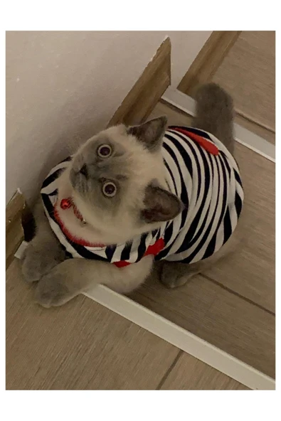 Gobo Kırmızı Kalpli Çizgili Kedi ve Köpek Kıyafeti Giyimi ürün görseli 1