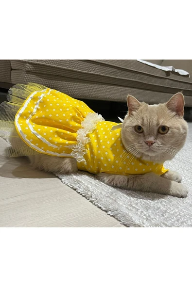 Gobo Sarı Puantiyeli Kurdeleli Kedi Köpek Kıyafeti Elbisesi ürün görseli 1