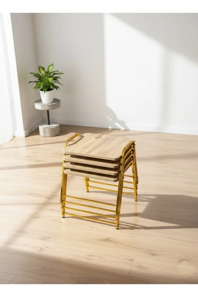 4'LÜ TEPSİ MODEL MODERN SEHPA - Resim 4