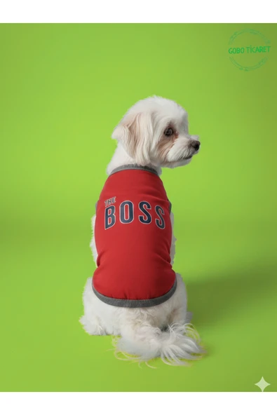 Gobo The Boss (Patron) Desenli Kedi ve Köpek Kıyafeti–Sevimli Evcil Hayvan Tişörtü Elbisesi,Farklı Renk ürün görseli 1