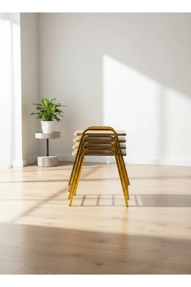 4'LÜ TEPSİ MODEL MODERN SEHPA - Resim 2