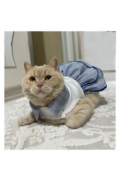 Gobo Denizci Mavi Yakalı Kurdeleli Dişi Kedi Köpek Kıyafeti Elbisesi ürün görseli 1