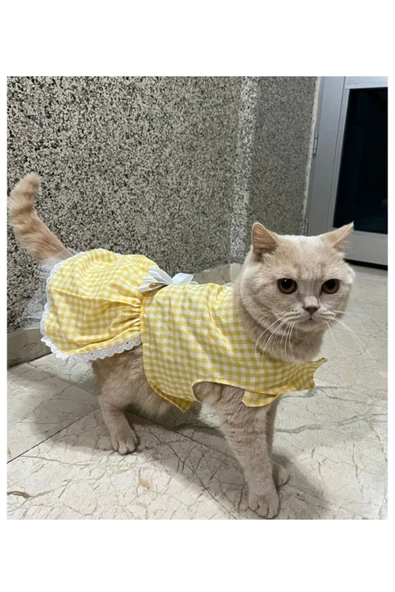 Gobo Sarı Beyaz Kareli Fiyonklu Kedi Köpek Kıyafeti Elbisesi Medium/M/Beden 2 ürün görseli 1