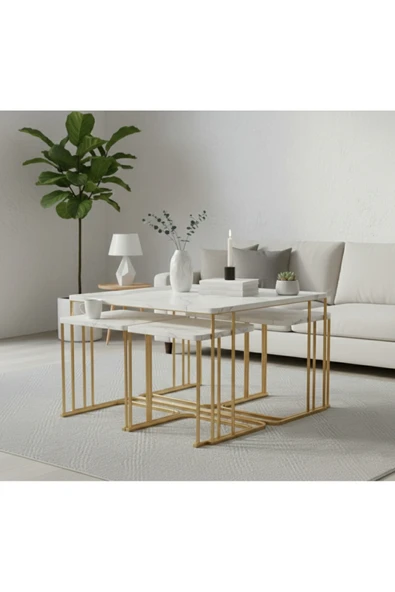 5li TEKERLEKLİ 4+1 ORTA SEHPA - Resim 3