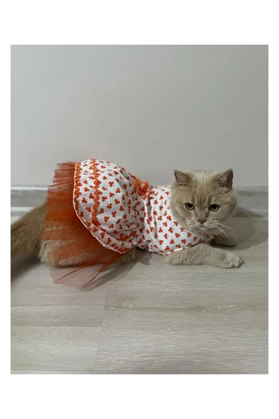 Gobo Turuncu Yaprak Desenli Kurdeleli Beyaz Kedi Köpek Kıyafeti Elbisesi ürün görseli 1