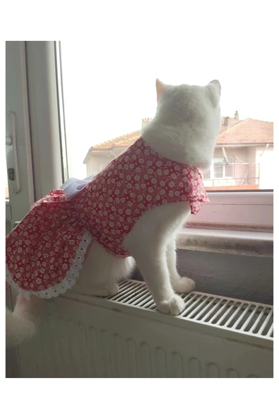 Gobo Beyaz Çiçek Desenli Kurdeleli Kedi Köpek Kıyafeti Elbisesi Medium/m/beden 2 ürün görseli 1