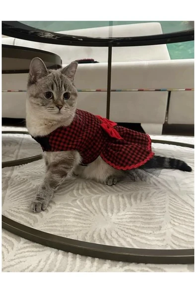 Gobo Kırmızı Siyah Kareli Kırmızı Papyonlu Dişi Kedi Köpek Kıyafeti Elbisesi Small/s/beden 1 ürün görseli 1