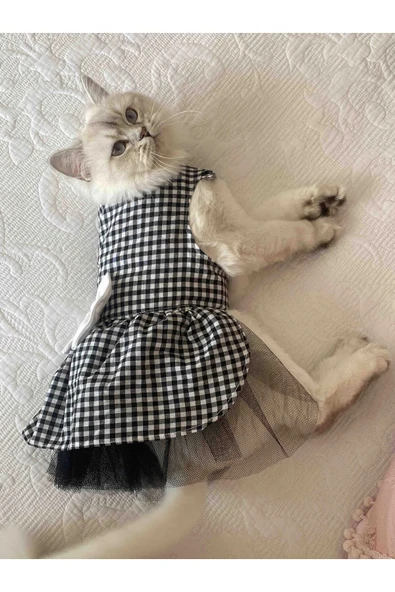 Gobo Beyaz Siyah Kareli Dişi Kedi Köpek Kıyafeti Elbisesi ürün görseli 1