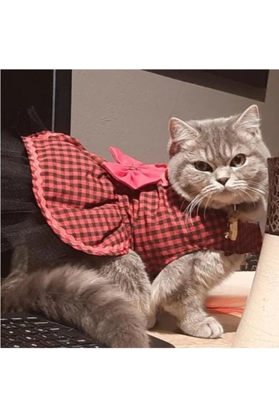 Gobo Kırmızı Siyah Kareli Papyonlu Dişi Kedi Köpek Kıyafeti Elbisesi ürün görseli 1