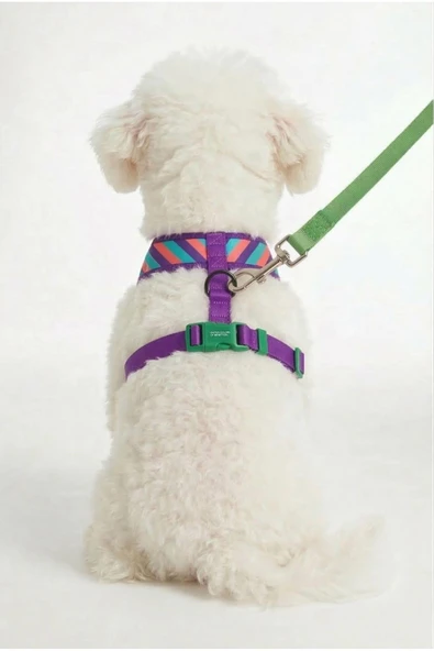 Benetton Hava Ağ Mix (M) - Resim 2