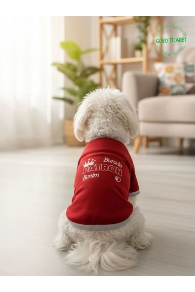 Gobo Burada Patron Benim Baskılı Kırmızı Kedi ve Köpek Kıyafeti Elbisesi 4 Farklı Beden Seçeneği ürün görseli 1