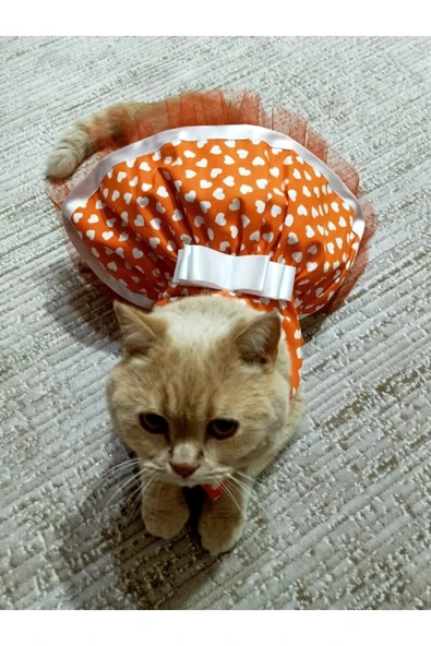Gobo Beyaz Kalp Desenli Fiyonklu Turuncu Kedi Köpek Kıyafeti Elbisesi Large/l/beden 3 ürün görseli 1