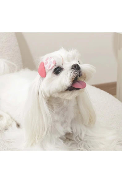 M-Pets Glam Köpekler İçin Toka Kırmızı ürün görseli 1