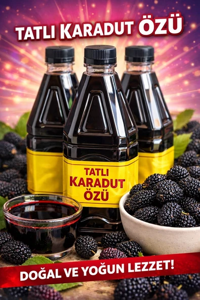 Herbliss Doğal Karadut Özü 250ML - Resim 4