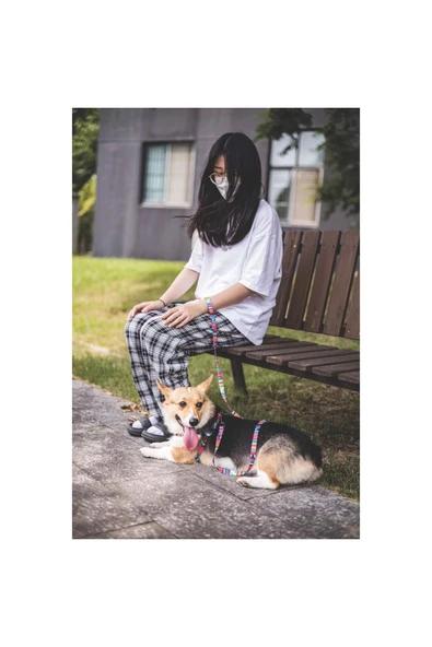 M-Pets Köpek Gezdirme Kayışı Urban Style Jazz (S) ürün görseli 1