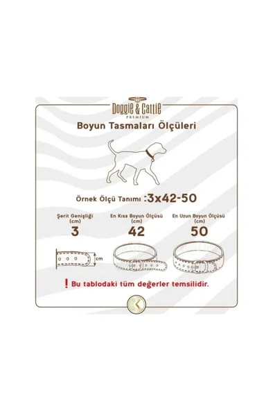 Cattie Kedi Boyun Tasması Lastikli Sarı 20-30 Cm ürün görseli 1