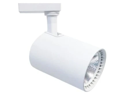 CT-5333 Babil Ray Spot LED Armatür 30W 2500 Lümen 6400K Beyaz Işık Monofaze Ray Spot Aydınlatma Beyaz Kasa ürün görseli 1