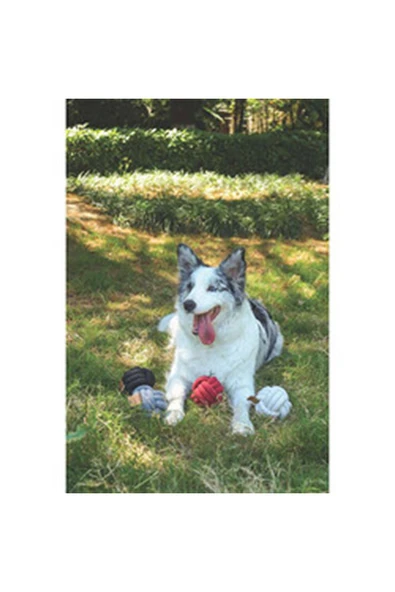 M-Pets Köpek Oyuncağı Örgü Top Beyaz 9.5 Cm ürün görseli 1