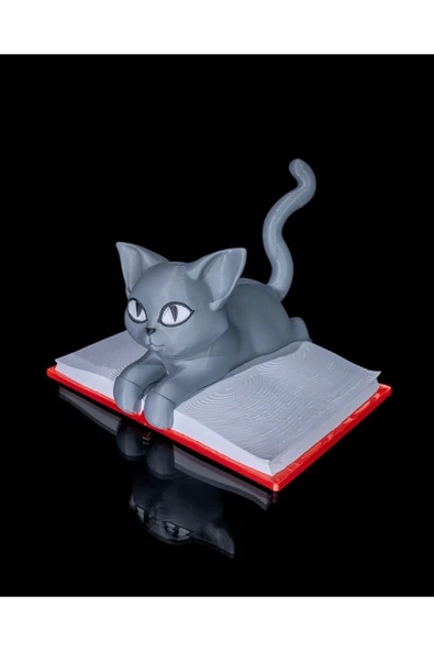 TuransoyCraft Kedi Boyutlu Kitap Dekoratif Obje 18CM ürün görseli 1