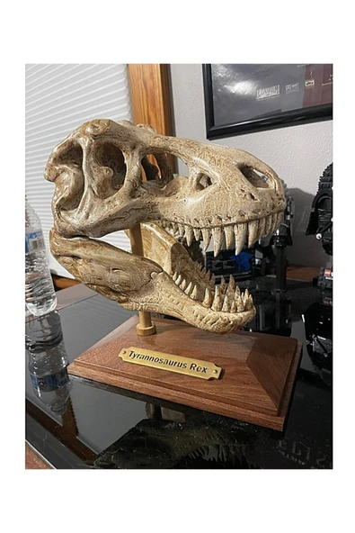 TuransoyCraft T-rex Kafatası Figür 20 cm ürün görseli 1