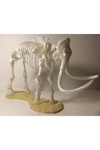TuransoyCraft Mamut Iskeleti Heykel 20 Cm ürün görseli 1
