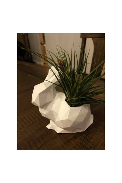 TuransoyCraft Polygonal Tavşan Saksı - Resim 2
