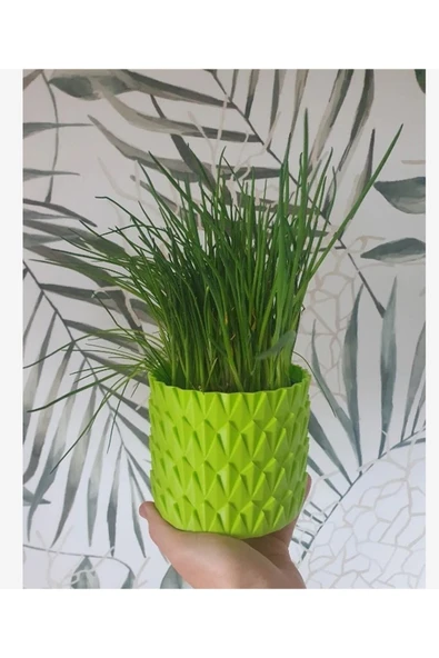 TuransoyCraft Pul Vazo & Saksı Büyük Boy (PLASTİKTİR 20 CM ÇAP 16 CM YÜKSEKLİK) ürün görseli 1