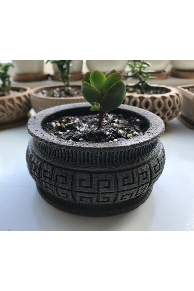 TuransoyCraft Dekoratif Model Sukulent Saksı (10 Cm Çap) ürün görseli 1