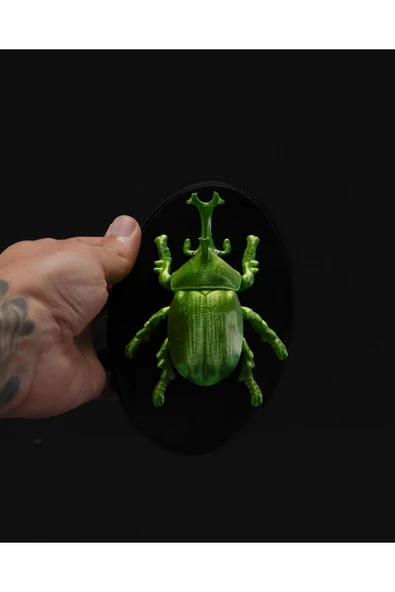 TuransoyCraft Bir Böceğin Yaşamı Rhino Böcek Duvar Dekoru 15CM ürün görseli 1