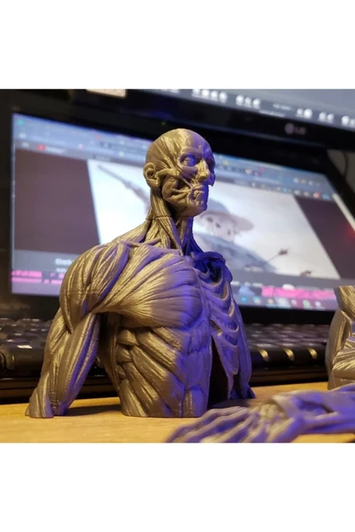TuransoyCraft Insan Anatomisi Biblo ürün görseli 1