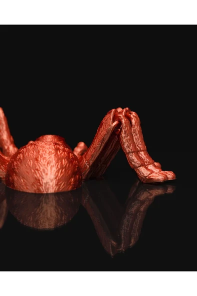 TuransoyCraft Tarantula Hareketli Oyuncak 16CM - Resim 5