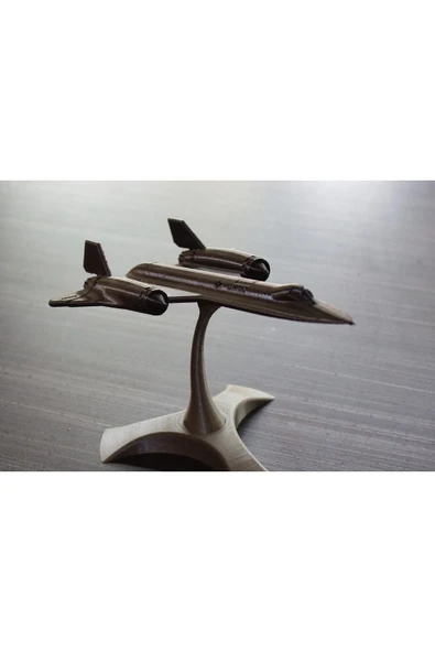 TuransoyCraft Locheed Martin Blackbird Sr71 Model Uçak - Resim 4