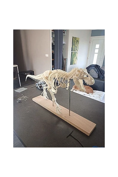 TuransoyCraft T-rex Realistic Skeleton Dekor Büyük Boy ürün görseli 1
