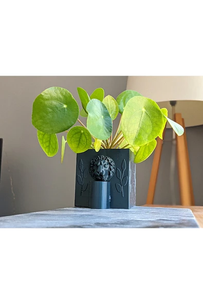 TuransoyCraft Aslan Yüzü Dekor Saksı 10 Cm ürün görseli 1