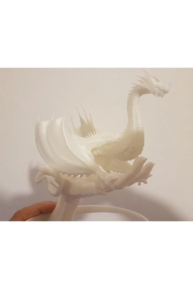 TuransoyCraft Eldeki Ejderha Yavrusu Biblo - Resim 2