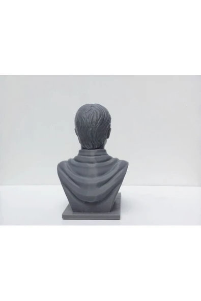 TuransoyCraft Harry Potter Büst 12 Cm - Resim 3