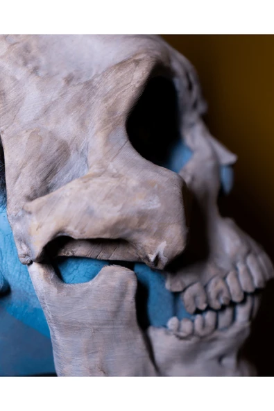 TuransoyCraft Skeleton Hareketli Yüz Maskesi - Resim 6