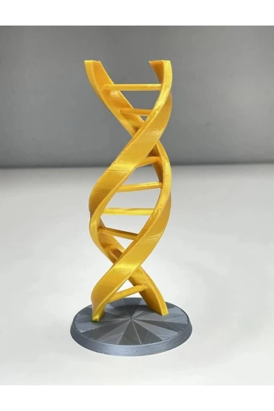 TuransoyCraft Dna Modeli Sarmal ürün görseli 1