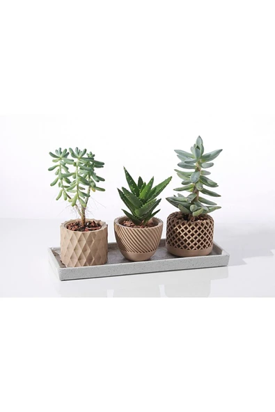 TuransoyCraft 3'lü Sukulent Saksı (10 Cm Çap) ürün görseli 1