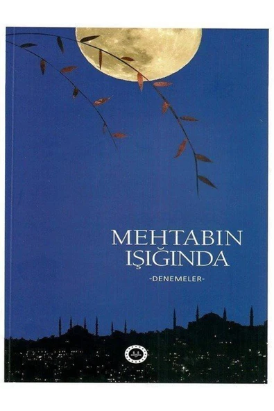Diyanet İşleri Başkanlığı Mehtabın Işığında & Denemeler ürün görseli 1