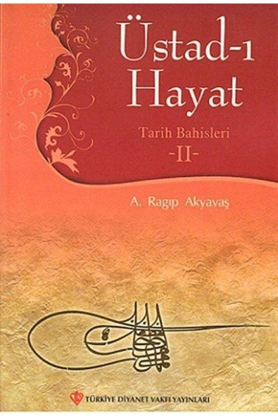 Türkiye Diyanet Vakfı Yayınları Üstad-ı Hayat / Tarih Bahisleri -ıı ürün görseli 1