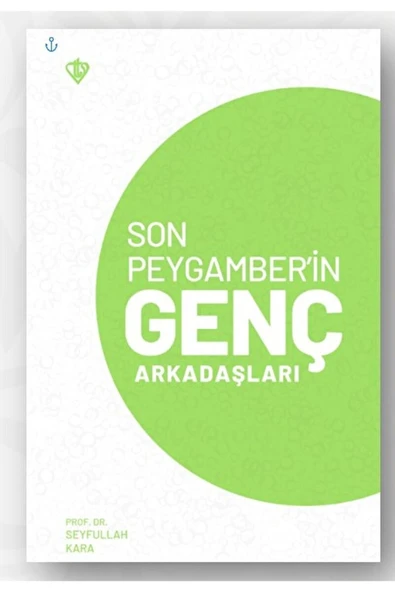 Türkiye Diyanet Vakfı Yayınları Son Peygamber’in Genç Arkadaşları / Seyfullah Kara / / 9786 ürün görseli 1