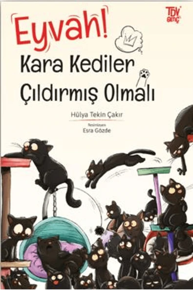 Türkiye Diyanet Vakfı Yayınları Eyvah Kara Kediler Çıldırmış Olmalı / Türkiye Diyanet Vakfı Yayınları / 9786254286667 ürün görseli 1